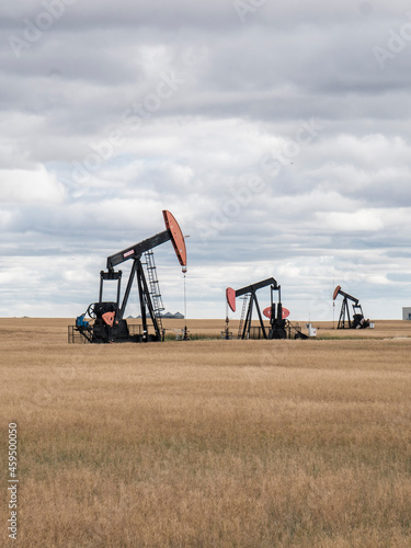 oil pump in the field