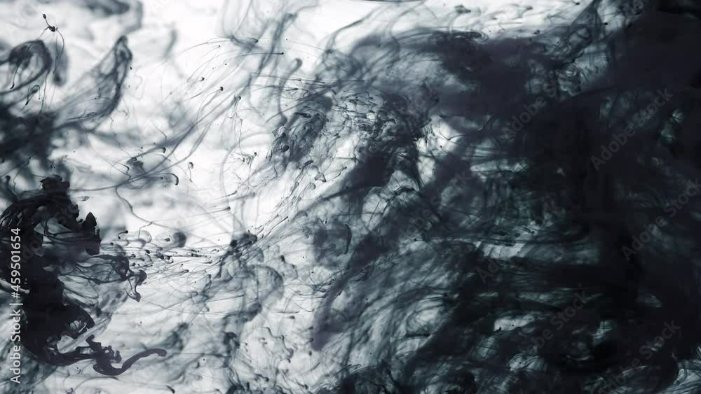 Black cloud of watercolor ink in water on a white background. Slow motion of black watercolor paints in water. Beautiful abstract background. Screensaver, relaxing meditative background. Black cloud of watercolor ink in water on a white background. Slow motion of black watercolor paints in water. Beautiful abstract background. Screensaver, relaxing meditative background.