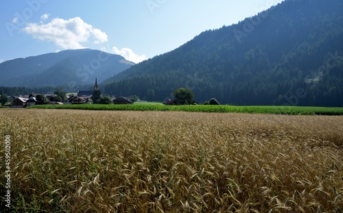 Fields in the valley photo