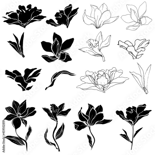Set of black and white lily, magnolia and vanilla flowers, collection of black outlines and silhouettes cut out on a white background. Torafari, funeral set.