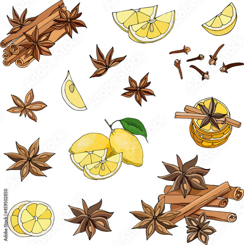Set of spices for tea and coffee cinnamon, lemon, clove, anise cut out on a white background. Vector illustration