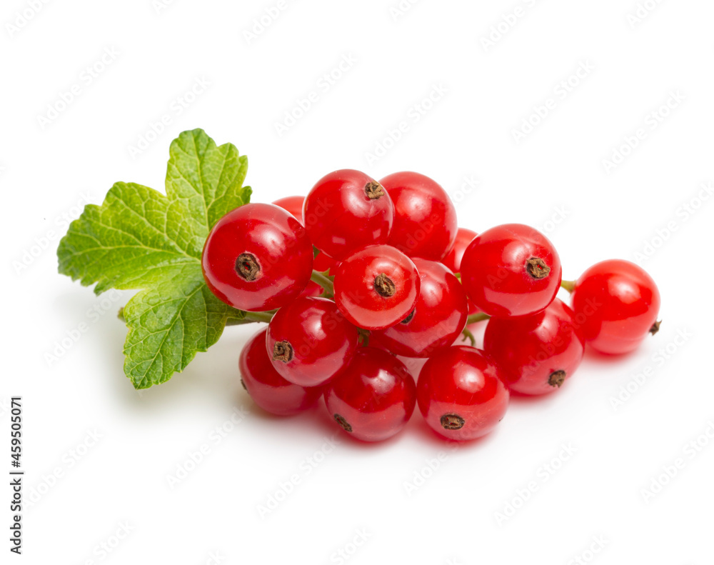 Red currant isolated on white background.