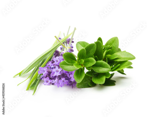 Lavender with thyme herbs isolated on white background