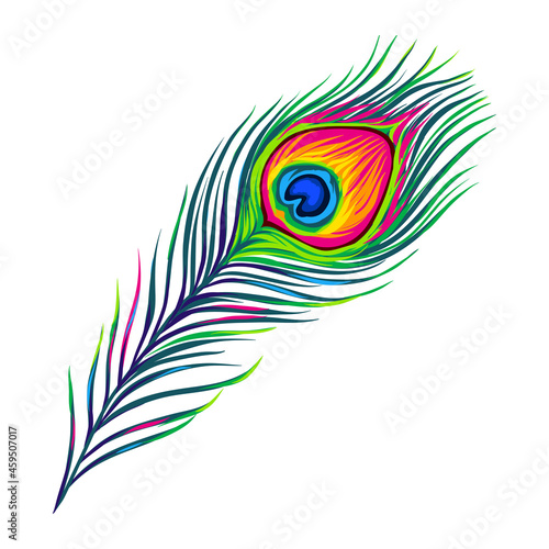 Stylized illustration of peacock feather. Image for design or decoration.