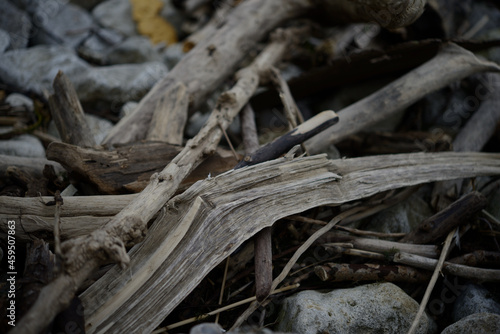 pieces of driftwood