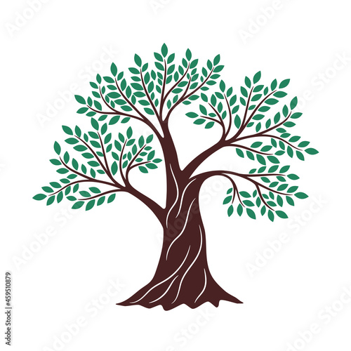 Tree green drawing. Oak graphics, environment religious creative knowledge logo branding element, genealogy wood vector illustration on white