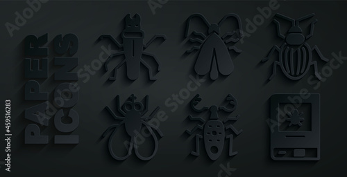 Set Beetle deer, Chafer beetle, Insect fly, Book about insect, Clothes moth and Termite icon. Vector