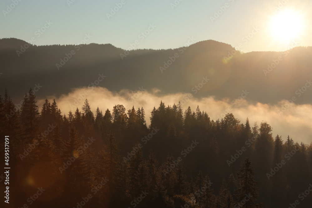 Beautiful view of mountains covered with fog at sunrise