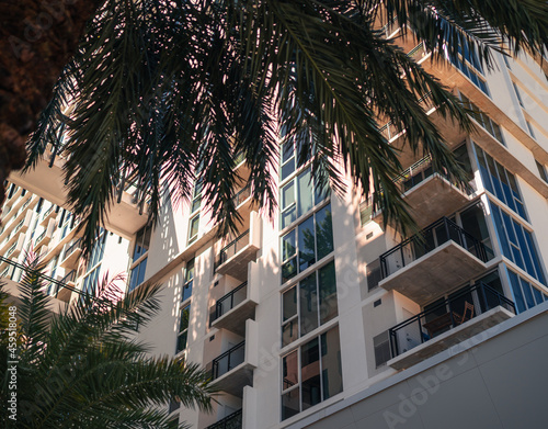 tree in front of the house building apartments Edgewater Miami Florida luxury garden  © Alberto GV PHOTOGRAP