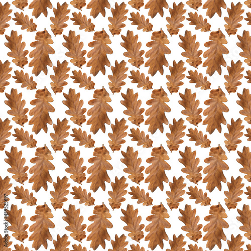 Autumn pattern for design. Oak leaves on a white pattern.