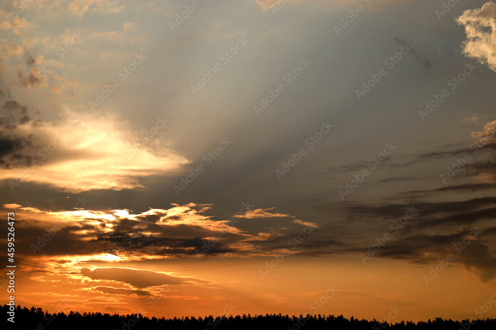 Obraz premium Beautiful sky at sunset. Dramatic clouds on summer sunset.