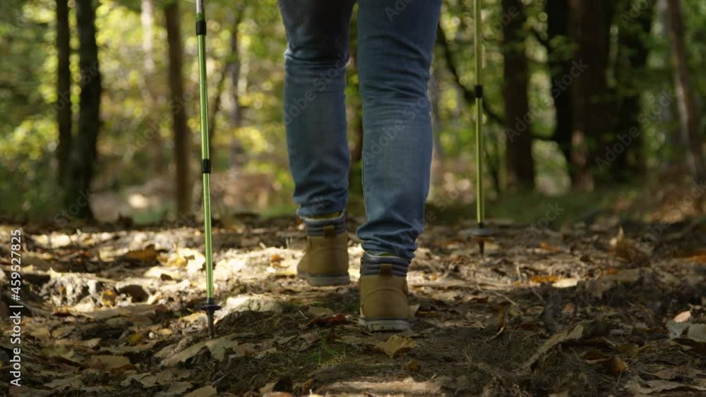 SLOW MOTION, CLOSE UP, LOW ANGLE, DOF: Unrecognizable fit older man hikes along the empty forest trail. Male retiree uses hiking poles while exploring the picturesque woods on an idyllic spring day. SLOW MOTION, CLOSE UP, LOW ANGLE, DOF: Unrecognizable fit older man hikes along the empty forest trail. Male retiree uses hiking poles while exploring the picturesque woods on an idyllic spring day.