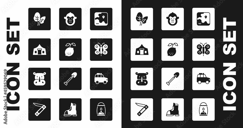 Set Africa safari map, Lemon, Tourist tent, Tropical leaves, Butterfly, Monkey, Car and Rhinoceros icon. Vector Set Africa safari map, Lemon, Tourist tent, Tropical leaves, Butterfly, Monkey, Car and Rhinoceros icon. Vector