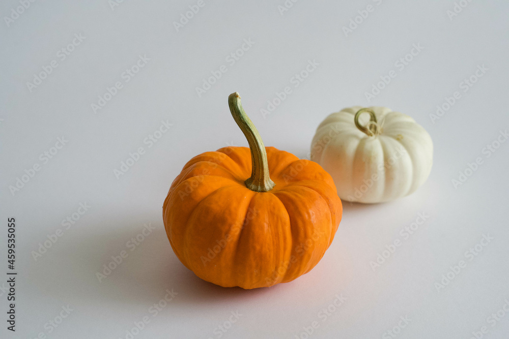 Studio shot of a nice ornamental pumpkin on white backgroun Studio shot of a nice ornamental pumpkin on white backgroun