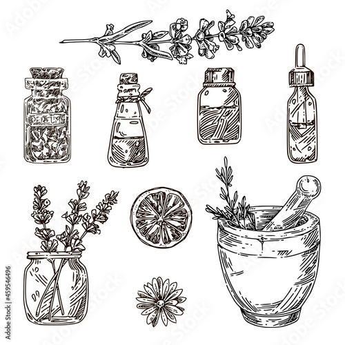 Set of aroma for home soap. Sketch. Engraving style. Vector illustration.