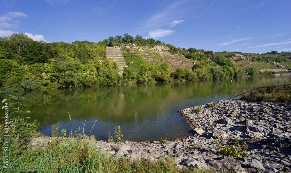 Fototapeta premium Landschaft, Weinberge
