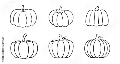 Set of pumpkins in various shapes. Vector outline illustration. Collection of cute hand drawn pumpkins on white background. Elements for autumn decorative design  harvest