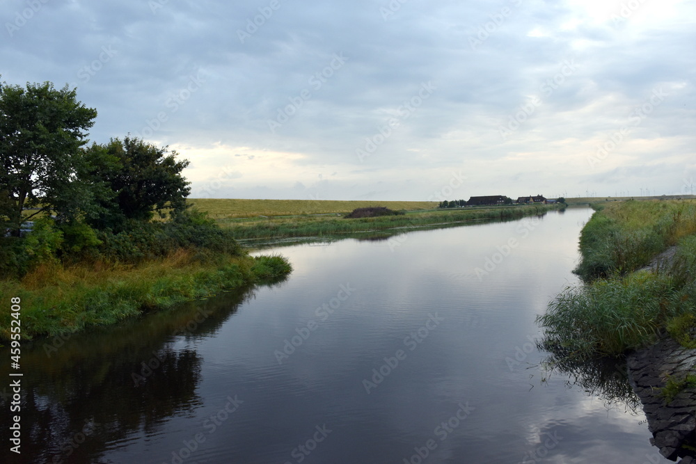 Feuchtgebiet in Nordfriesland im Sommer