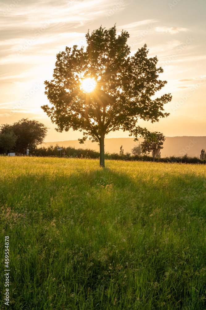 Country landscape in sunshine in Germany Country landscape in sunshine in Germany