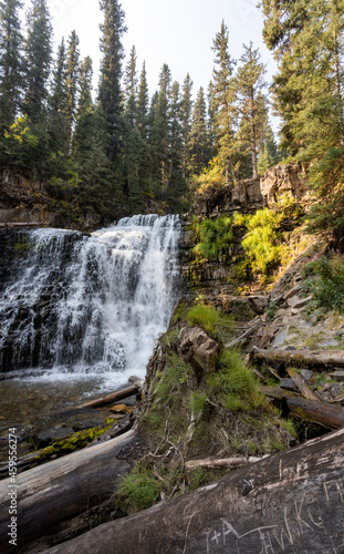 waterfall in the forest