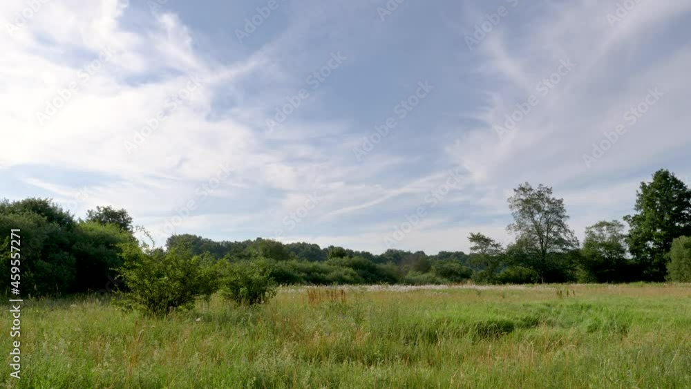 Rural landscape view of meadow and shrubs in summer. Rural landscape view of meadow and shrubs in summer.