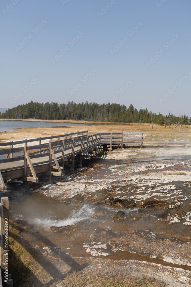Fototapeta premium wooden bridge in the river