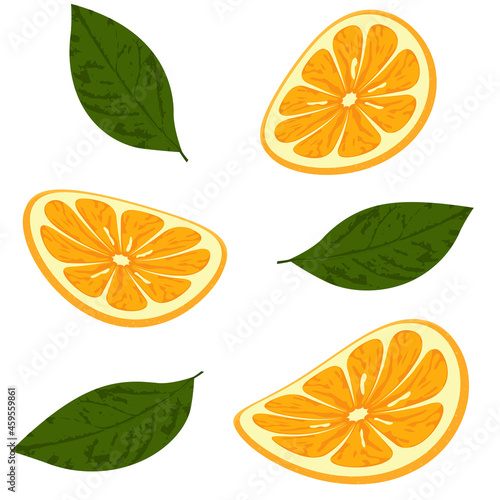 Fresh sliced orange with green leaves isolated on white background