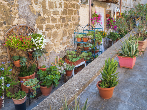 two rows of flowers in vases on the street in italian city Marta