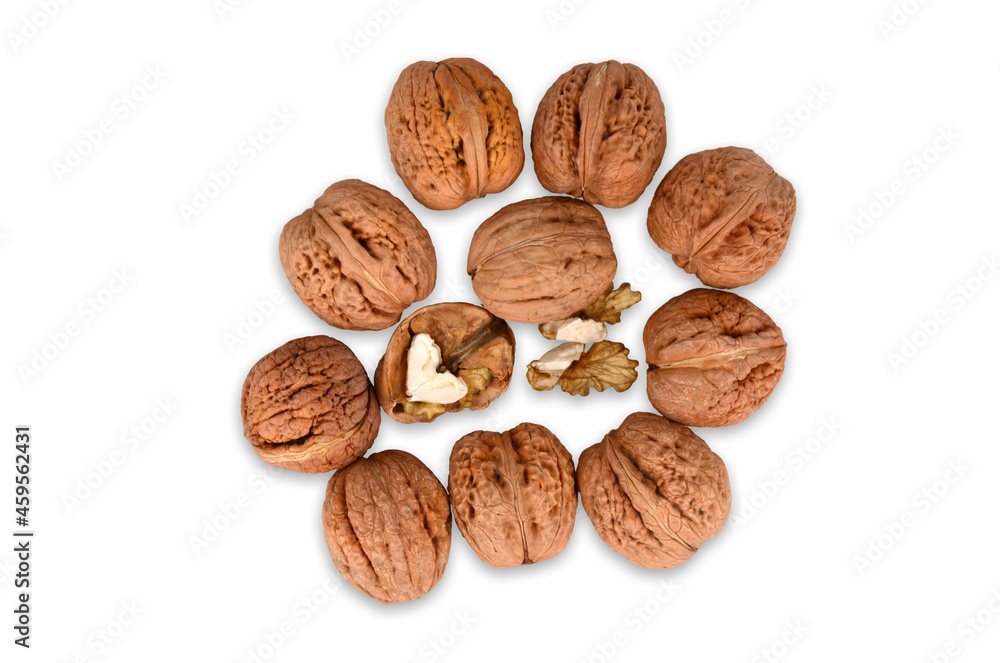 Orzechy włoskie w skorupkach. Large walnuts. Orzechy na białym tle. Nuts on a white background. Orzechy włoskie w skorupkach. Large walnuts. Orzechy na białym tle. Nuts on a white background.