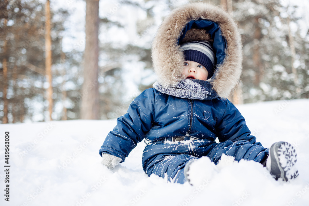 Portrait of child sitting in snow in spruce forest. Little kid boy having fun outdoors in winter nature. Christmas holiday. Cute toddler boy in blue overalls and knitted scarf and cap walking in park.