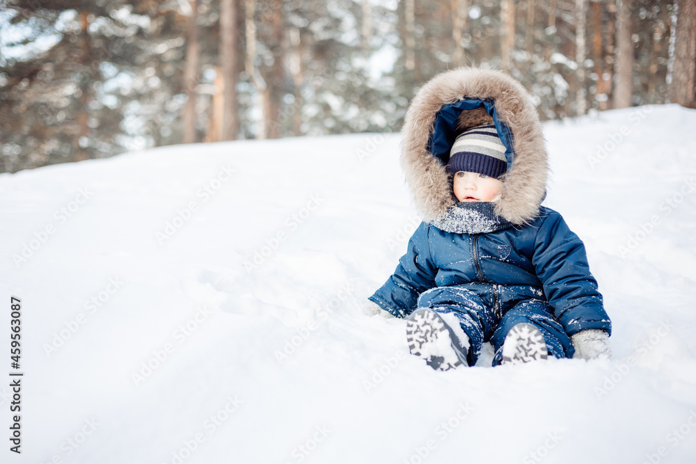 Portrait of child sitting in snow in spruce forest. Little kid boy having fun outdoors in winter nature. Christmas holiday. Cute toddler boy in blue overalls and knitted scarf and cap walking in park. Portrait of child sitting in snow in spruce forest. Little kid boy having fun outdoors in winter nature. Christmas holiday. Cute toddler boy in blue overalls and knitted scarf and cap walking in park.