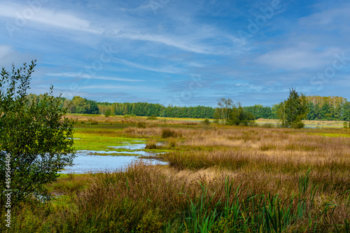 Beautiful dutch landscape with little lakes in the summer. Maasduinen - a picturesque place in Noord Limburg  Netherlands