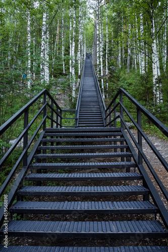 An iron staircase going far up through a birch grove. Walk through the forest in the fresh air.
