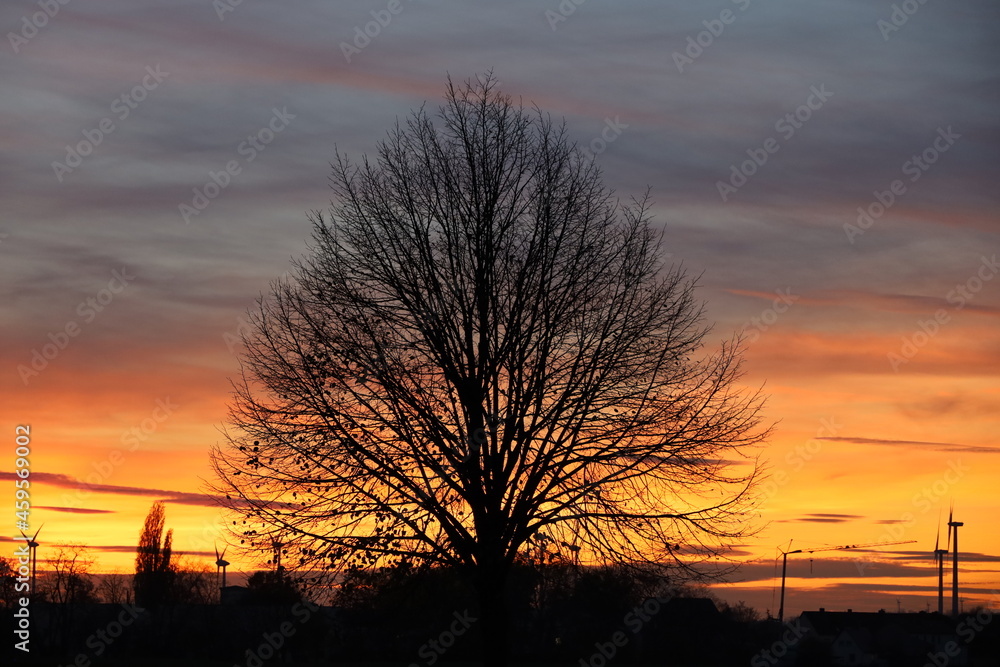 Obraz premium sunset in the city