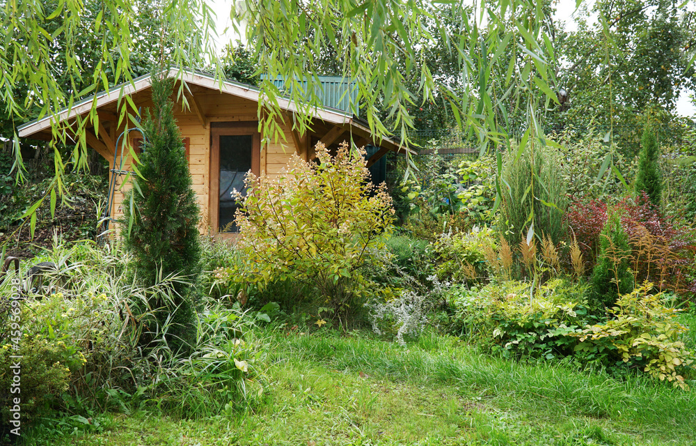 house in the garden in blooming summer landscape design house in the garden in blooming summer landscape design