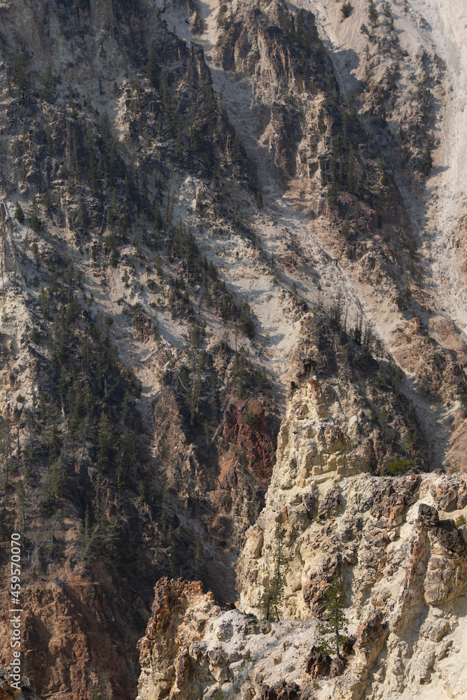 grand canyon state grand canyon state