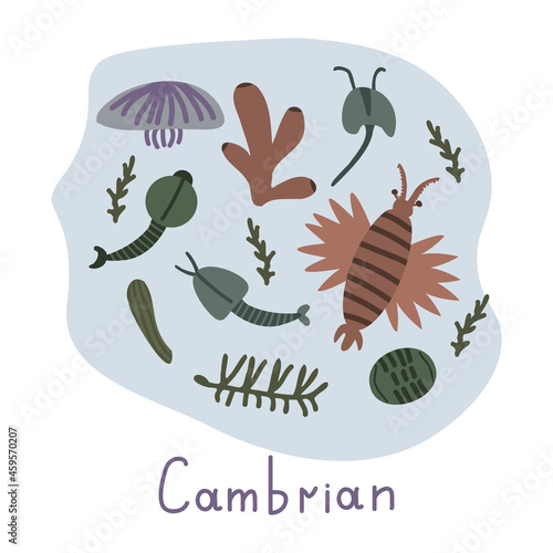 Cambrian life illustration photo