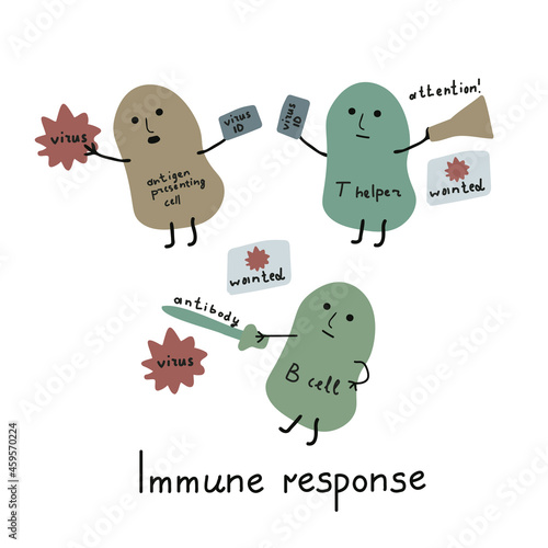 Immune response illustration