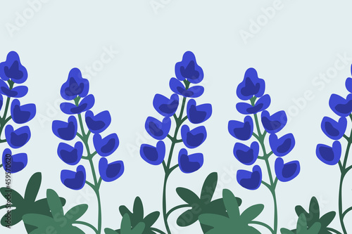 Blue lupine background