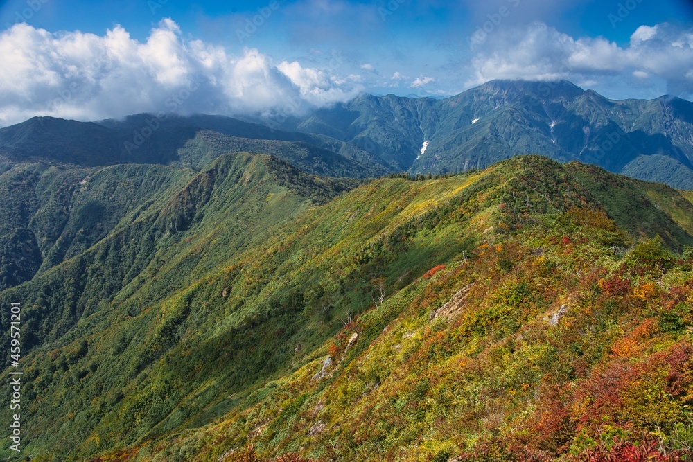Fototapeta premium 秋の荒沢岳の稜線