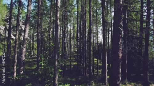 The Call of the Alpine Wilderness: A Wild and Free Experience