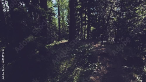 Encountering the Raw Beauty of Alpine Wilderness