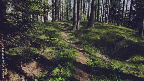 Adventures in the Alpine Backcountry: Exploring the Wilderness