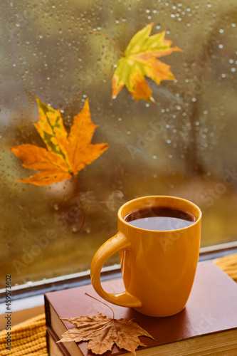 cup of tea  book  autumn leaves and candle on window sill at home