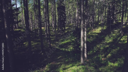 Embracing the Serenity of Alpine Wilderness