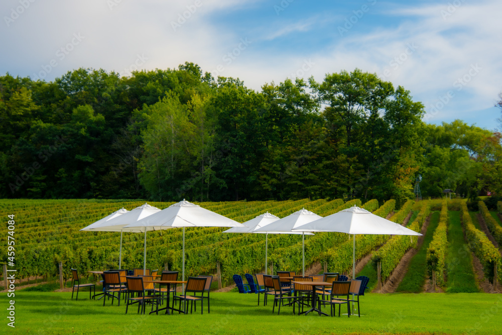 Vineyards of a winery in Niagara valley, Ontario, Canada Vineyards of a winery in Niagara valley, Ontario, Canada