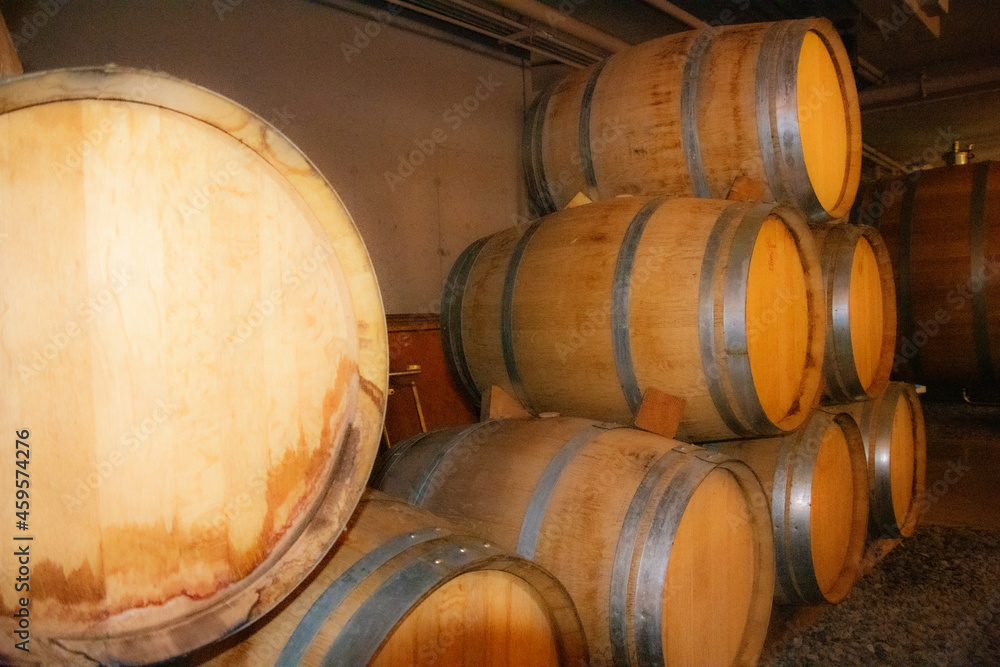 Oak barrel in a vineyard in Niagara, Ontario, Canada