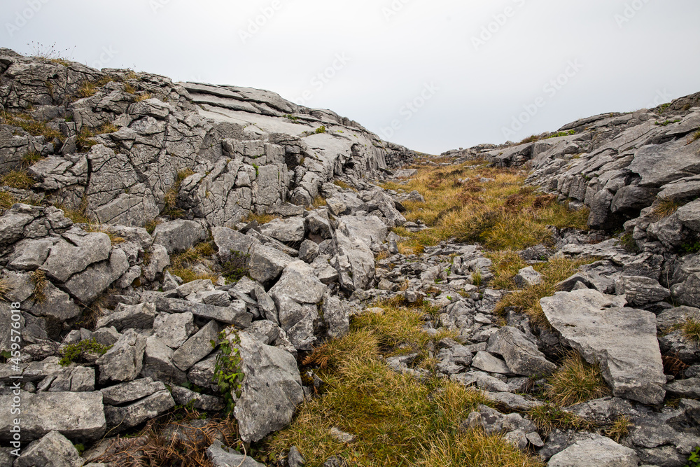 Field of Rock and Moss in Ireland Field of Rock and Moss in Ireland
