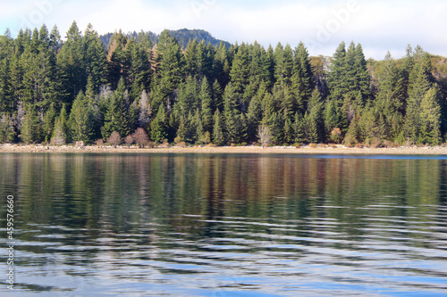 Panorama of shore of Isla Victoria covered with pine trees, and blue lake in tranquility.