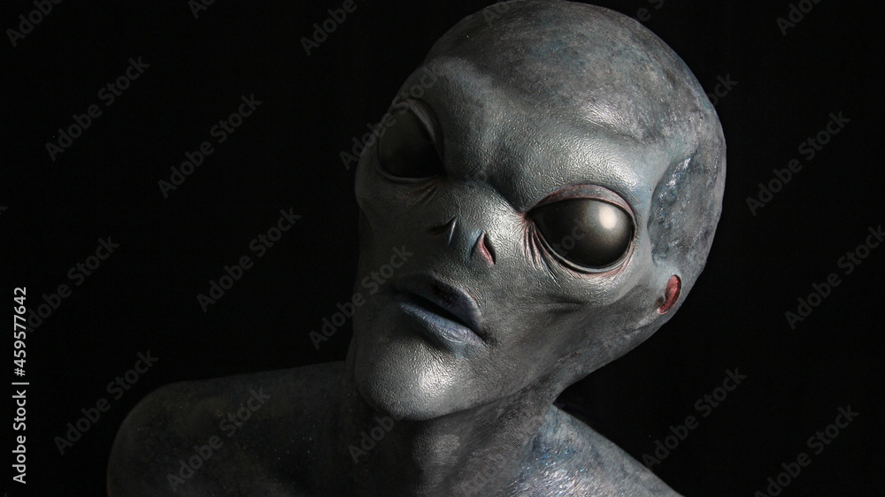 Blue Grey Alien staring from darkness #5